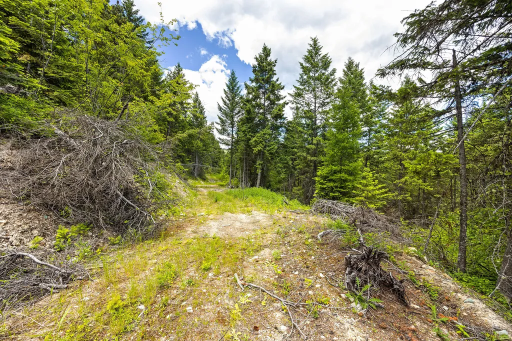 64 Lone Wolf Trail Lakeside MT 59922