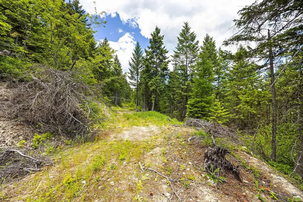 64 Lone Wolf Trail Lakeside MT 59922