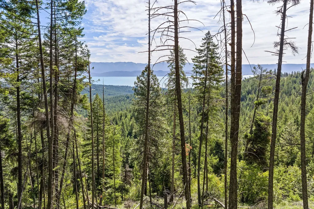 64 Lone Wolf Trail Lakeside MT 59922
