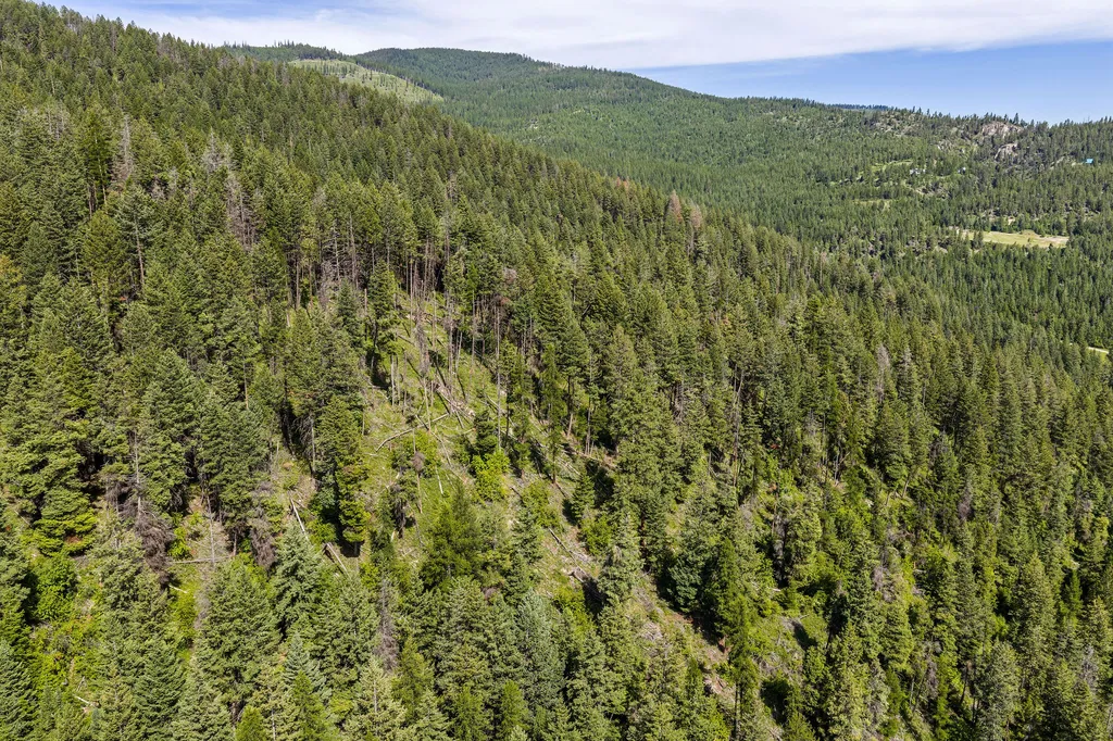 64 Lone Wolf Trail Lakeside MT 59922
