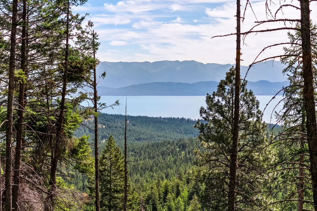 64 Lone Wolf Trail Lakeside MT 59922
