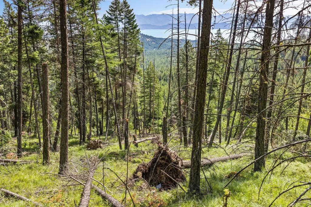 64 Lone Wolf Trail Lakeside MT 59922