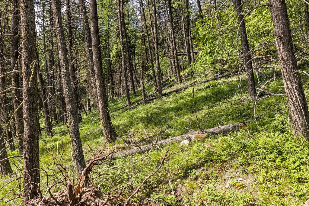 64 Lone Wolf Trail Lakeside MT 59922