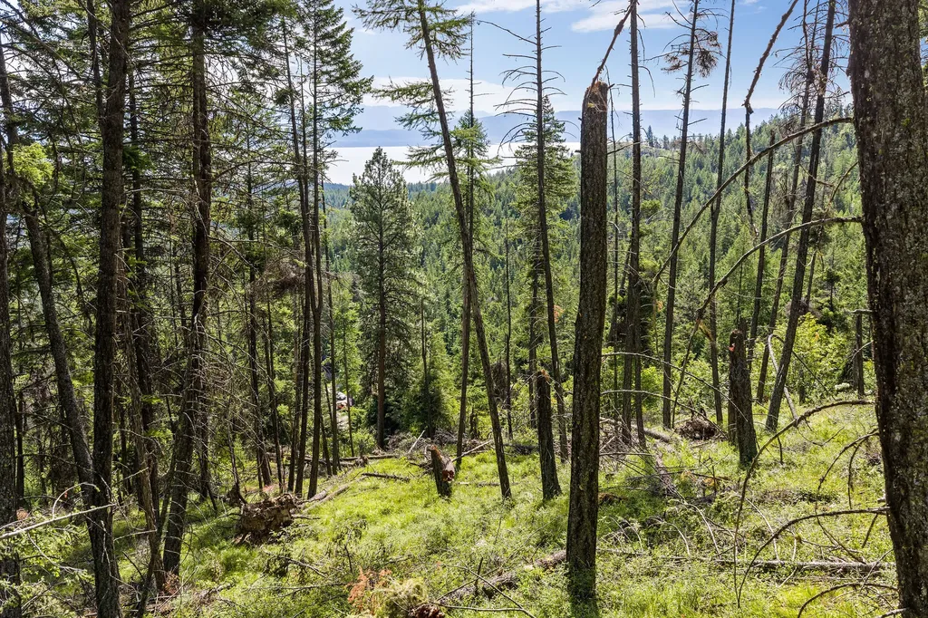 64 Lone Wolf Trail Lakeside MT 59922