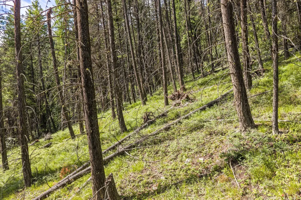 64 Lone Wolf Trail Lakeside MT 59922