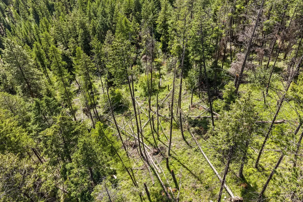 64 Lone Wolf Trail Lakeside MT 59922