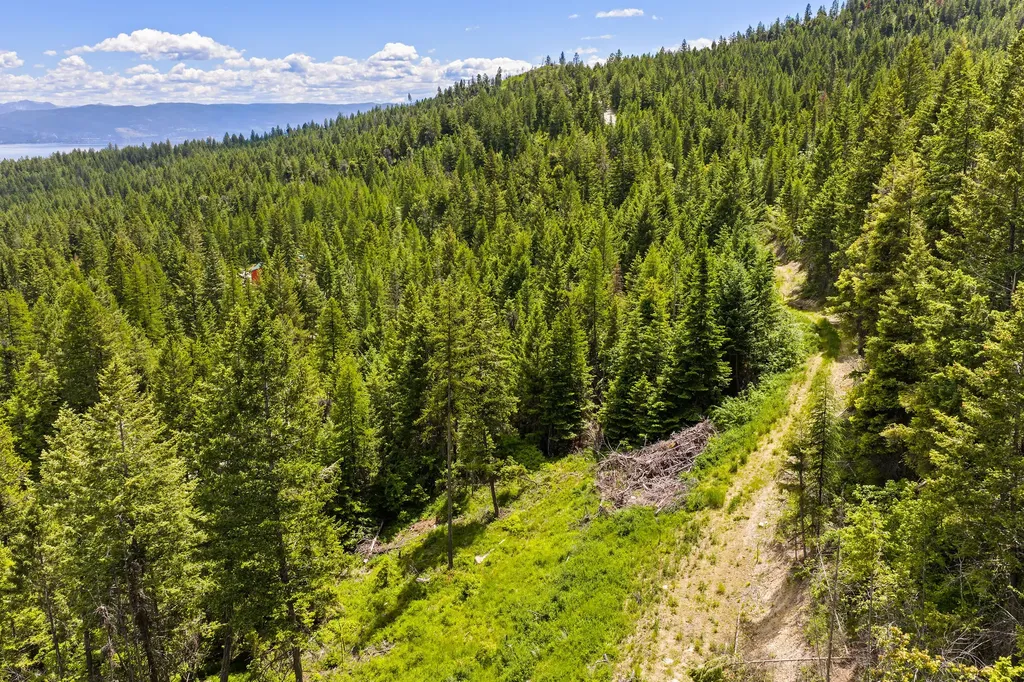 64 Lone Wolf Trail Lakeside MT 59922