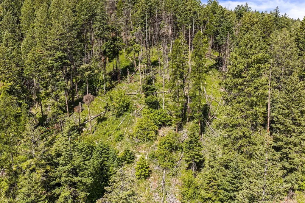 64 Lone Wolf Trail Lakeside MT 59922