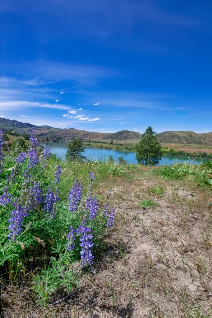 9701 Mt Highway 200 Dixon MT 59831