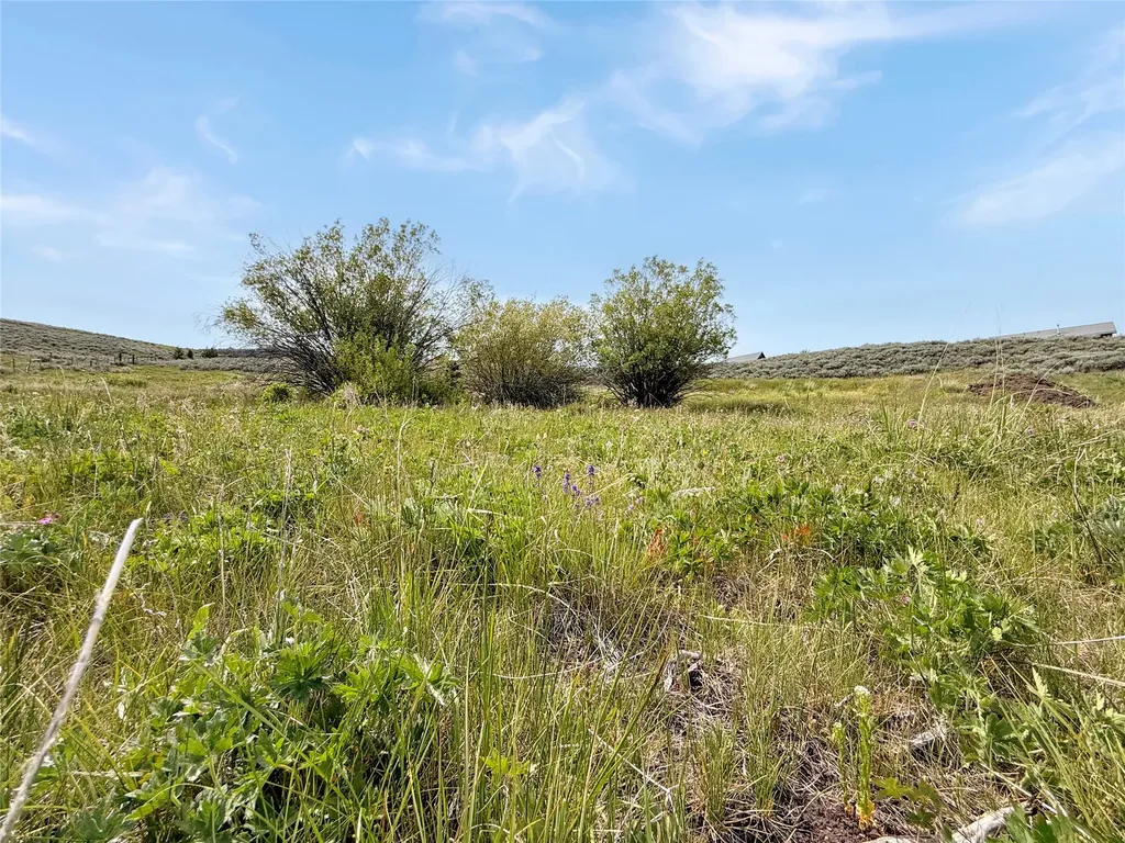 9363 Pioneer Mountain Scenic By-way Polaris MT 59746
