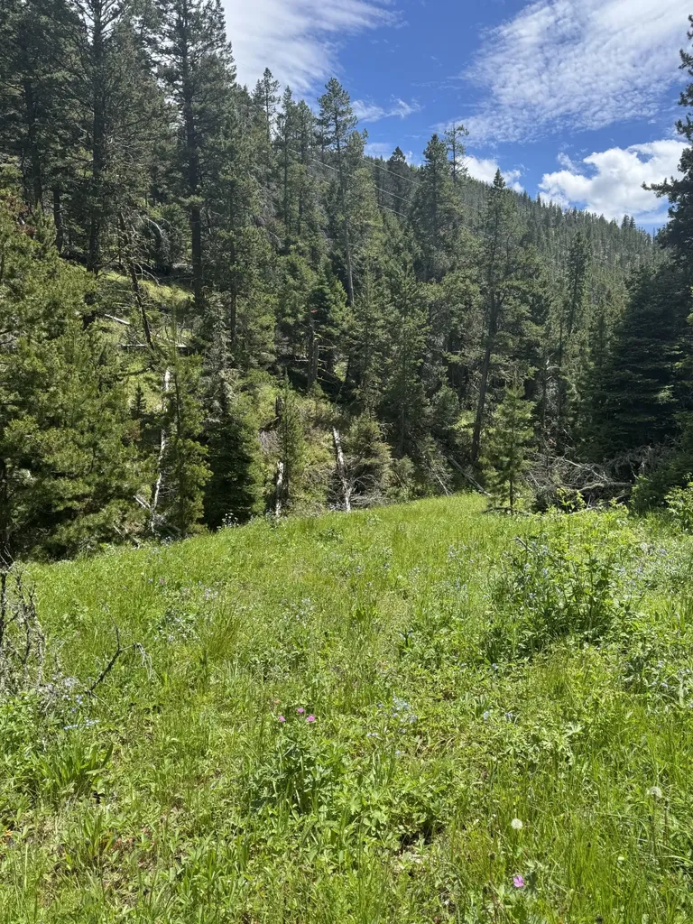 Nhn Cadotte Creek Road Lincoln MT 59639