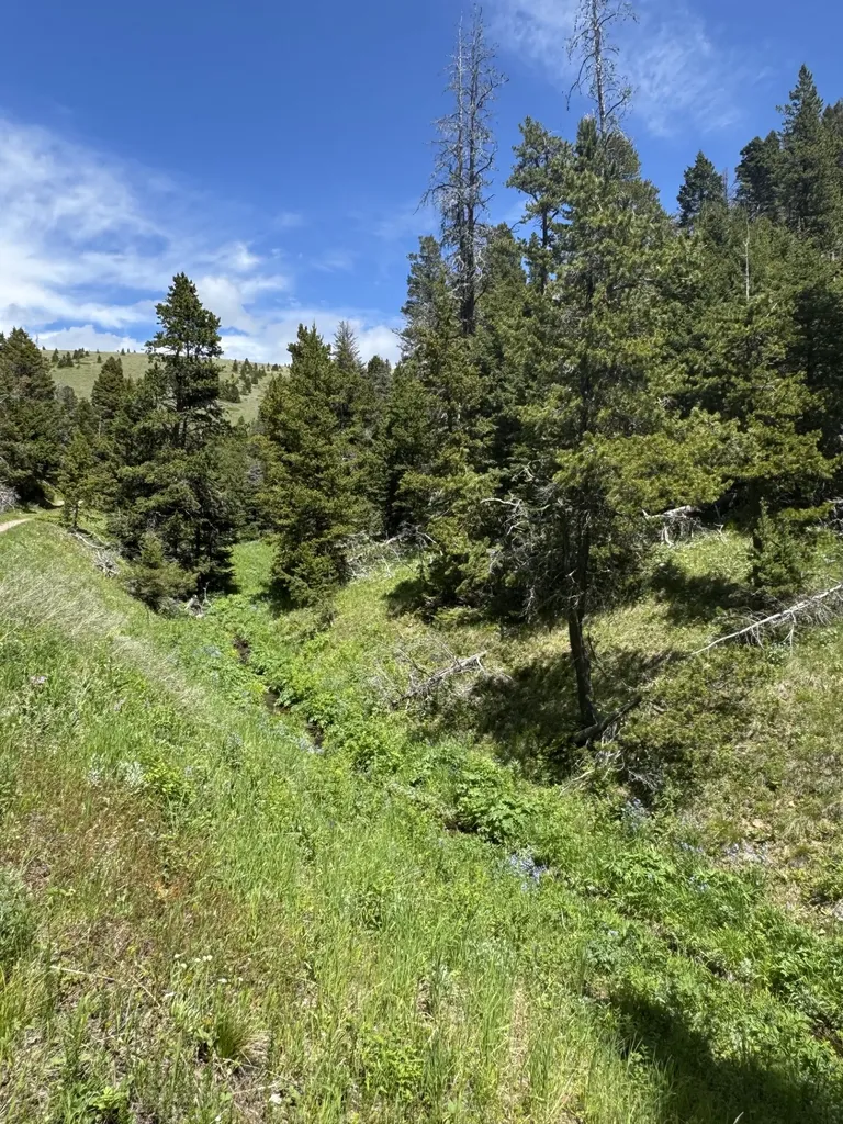 Nhn Codette Creek Road Lincoln MT 59639