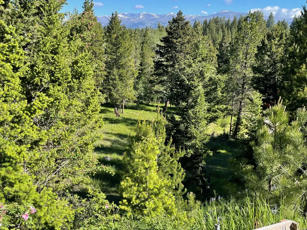 1623 Herrin Lake Road Lincoln MT 59639
