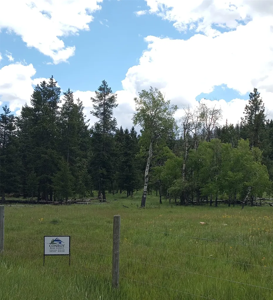 1623 Herrin Lake Road Lincoln MT 59639
