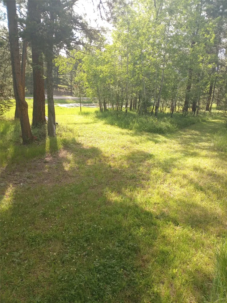 1623 Herrin Lake Road Lincoln MT 59639