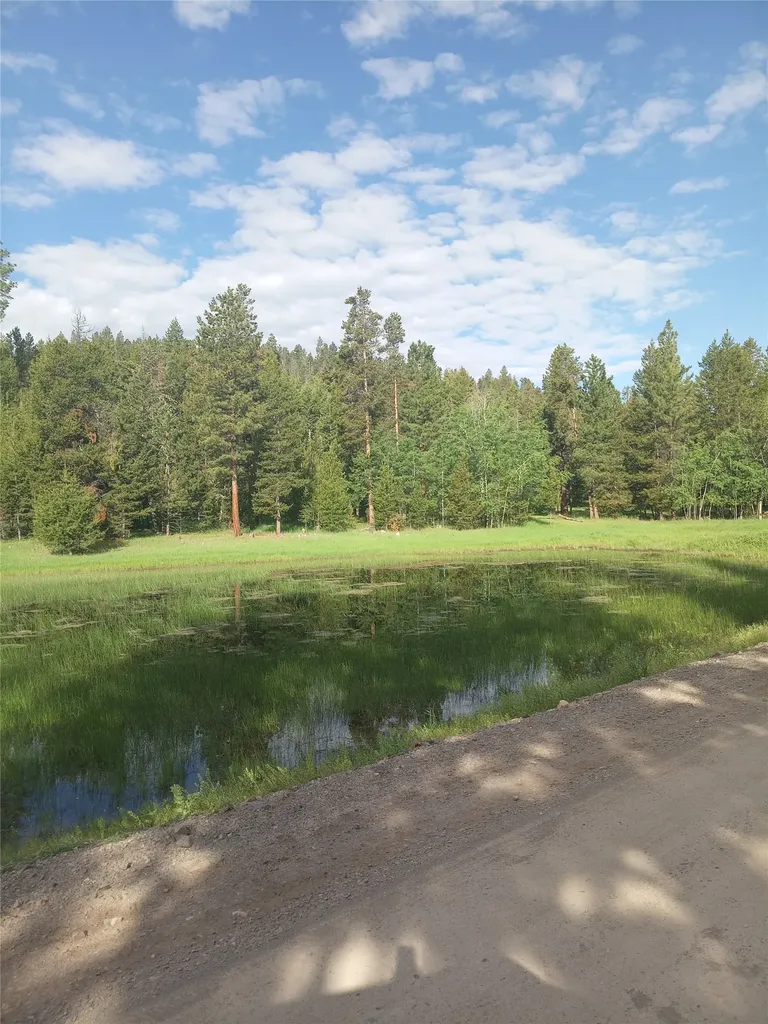 1623 Herrin Lake Road Lincoln MT 59639