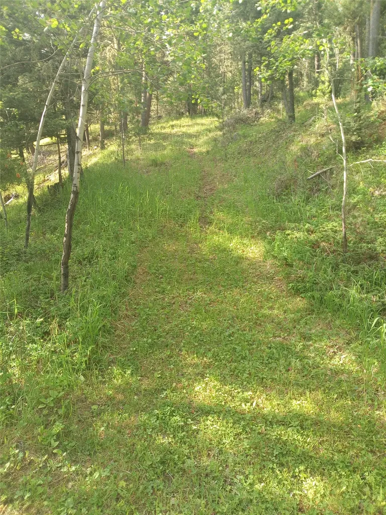 1623 Herrin Lake Road Lincoln MT 59639