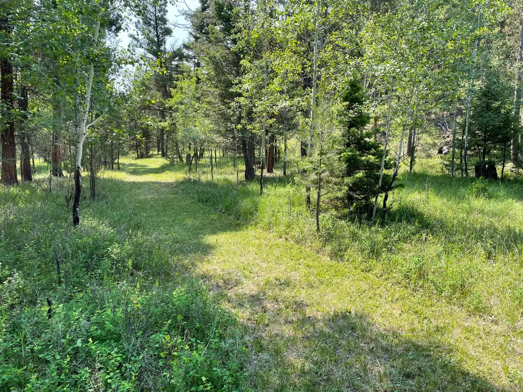 1623 Herrin Lake Road Lincoln MT 59639