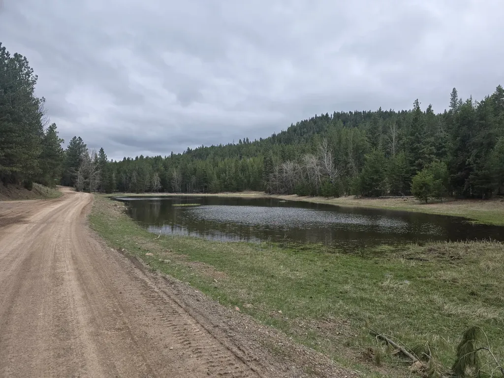 1623 Herrin Lake Road Lincoln MT 59639