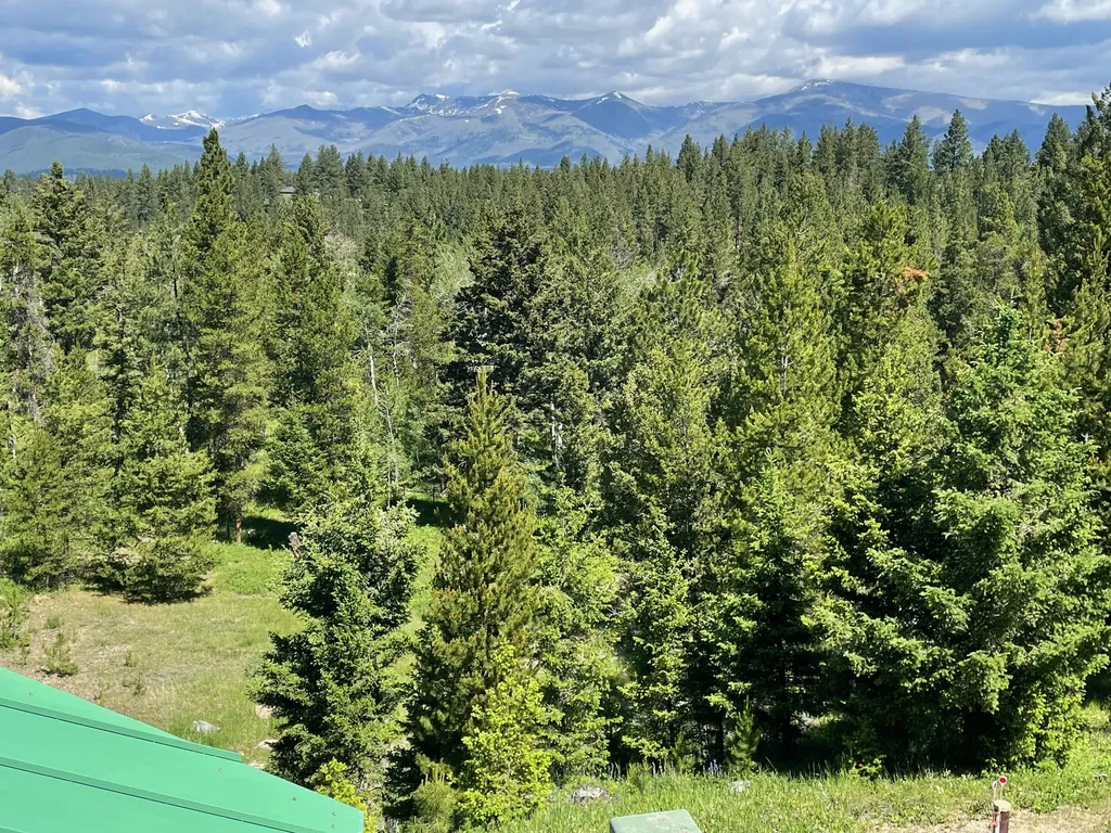 1623 Herrin Lake Road Lincoln MT 59639