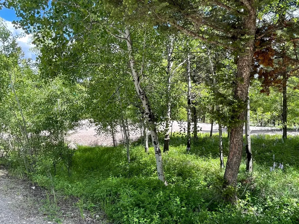 1623 Herrin Lake Road Lincoln MT 59639