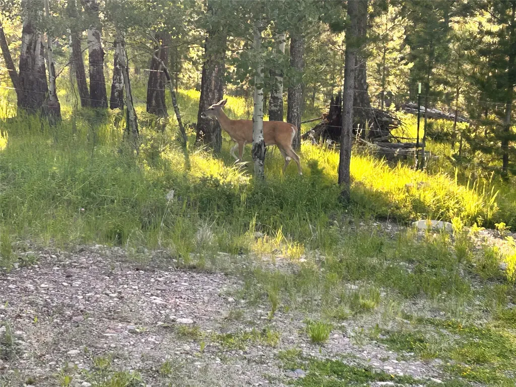 1623 Herrin Lake Road Lincoln MT 59639