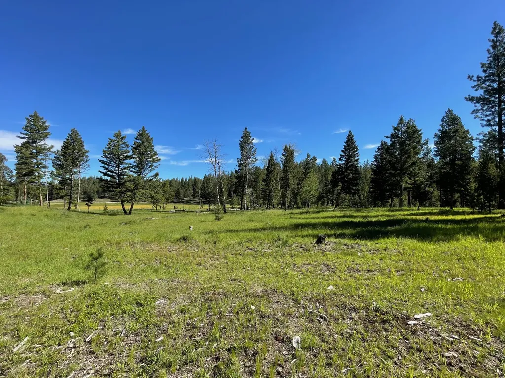 1623 Herrin Lake Road Lincoln MT 59639