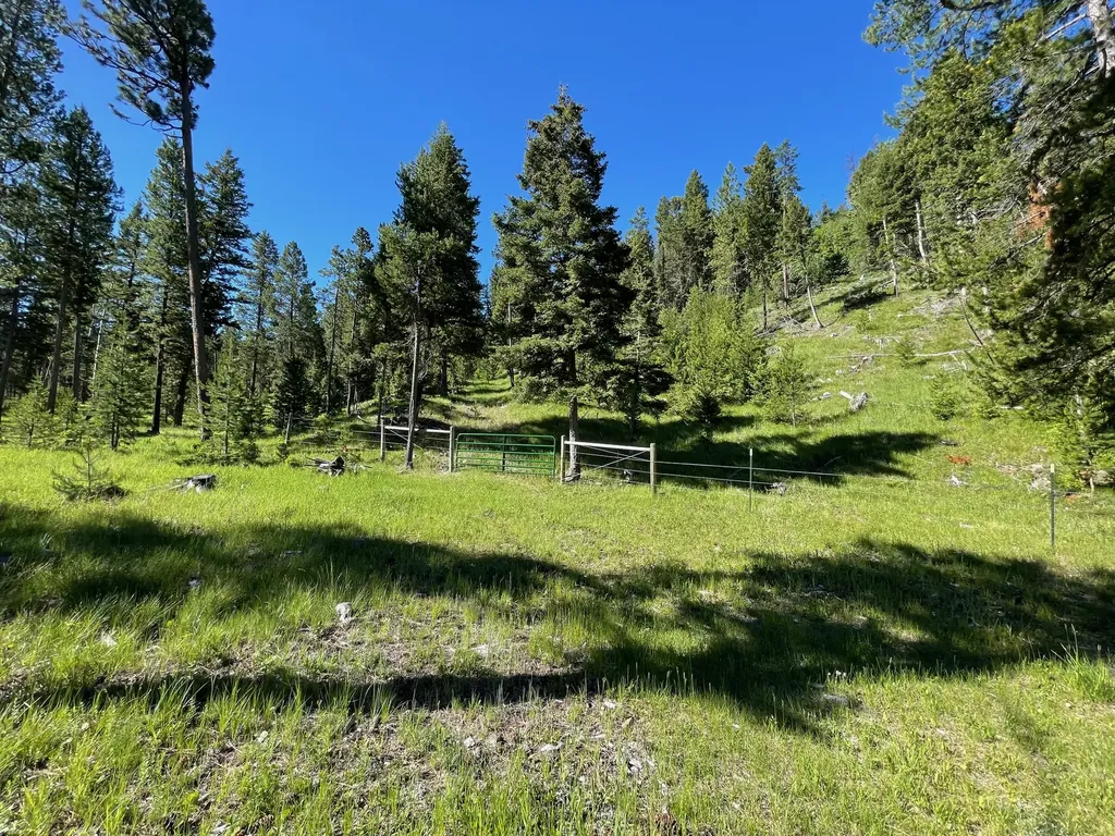 1623 Herrin Lake Road Lincoln MT 59639