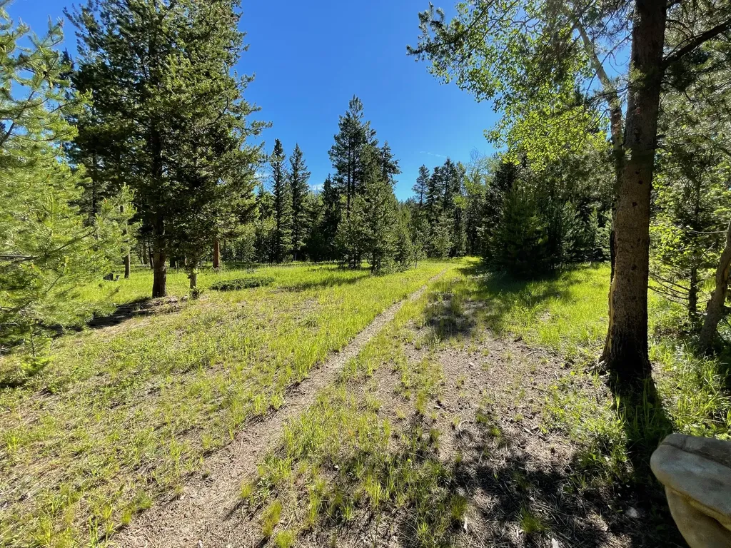 1623 Herrin Lake Road Lincoln MT 59639