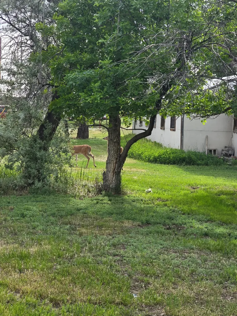 2224 9a Street S Great Falls MT 59405
