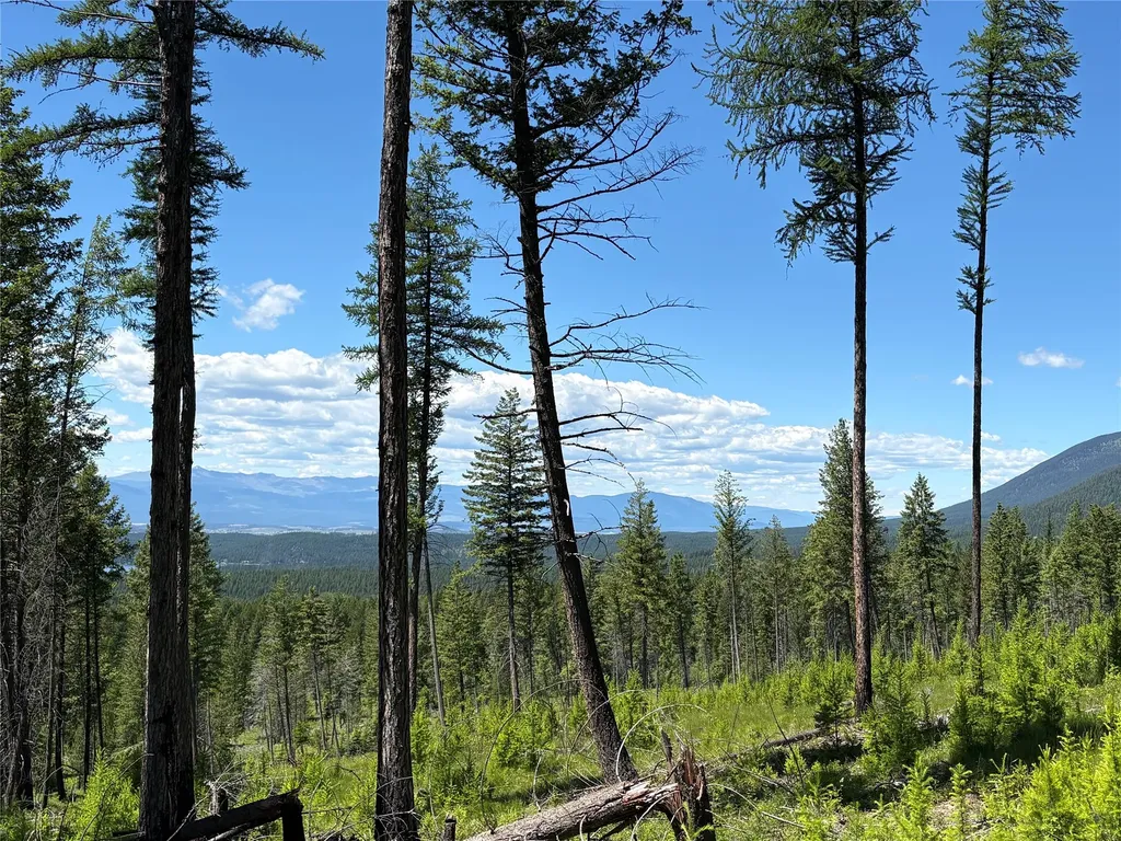 8025 Therriault Pass Road Eureka MT 59917