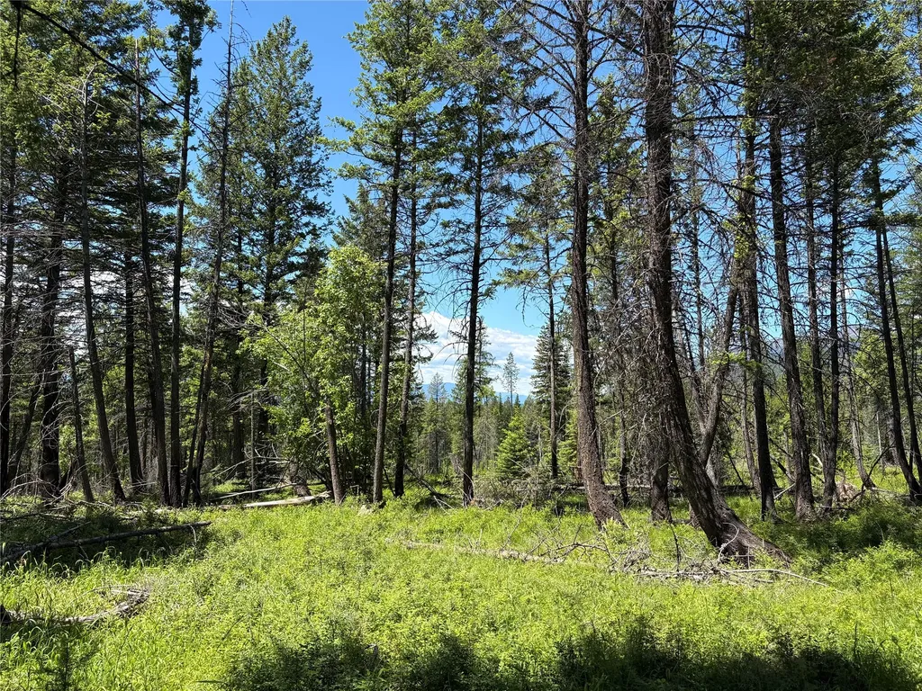 8025 Therriault Pass Road Eureka MT 59917