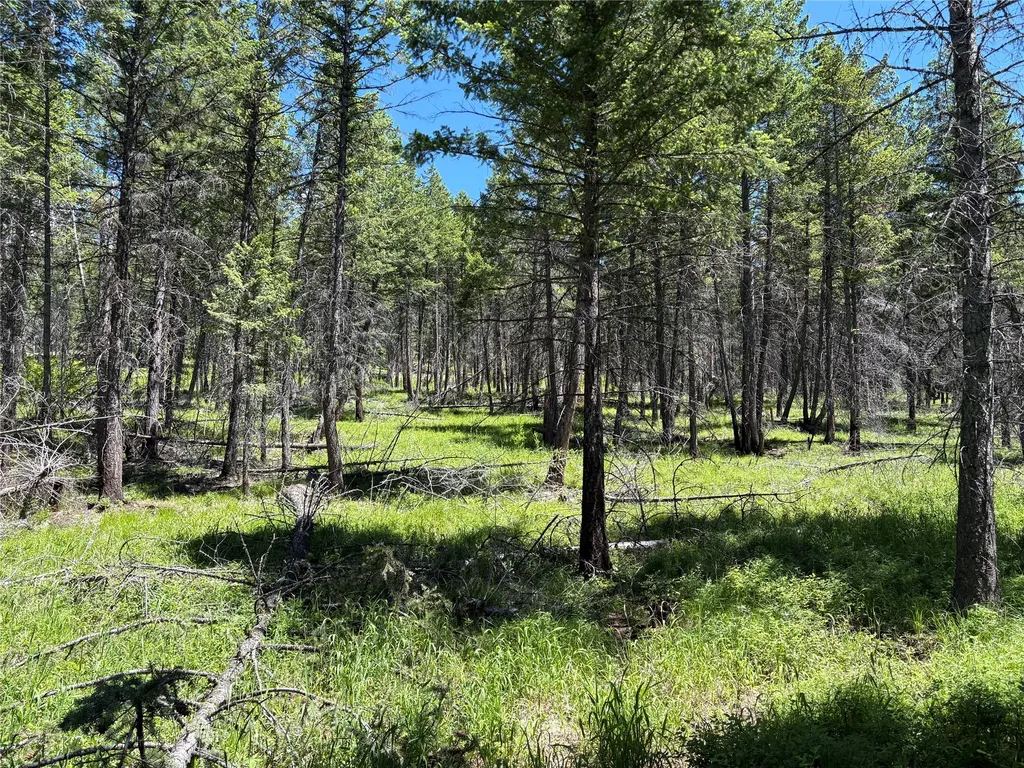 8025 Therriault Pass Road Eureka MT 59917