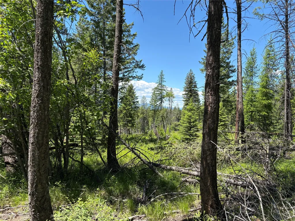 8025 Therriault Pass Road Eureka MT 59917