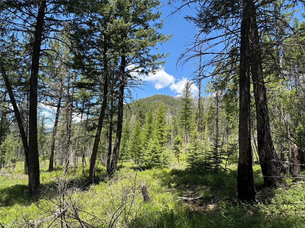 8025 Therriault Pass Road Eureka MT 59917