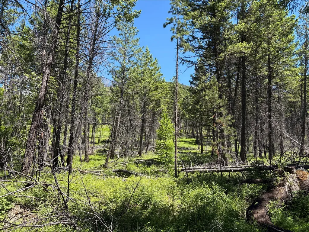 8025 Therriault Pass Road Eureka MT 59917