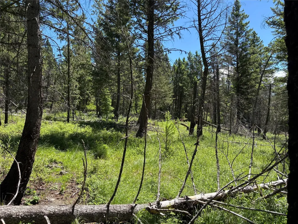 8025 Therriault Pass Road Eureka MT 59917