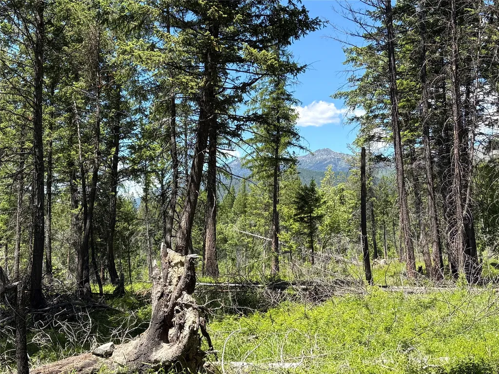 8025 Therriault Pass Road Eureka MT 59917