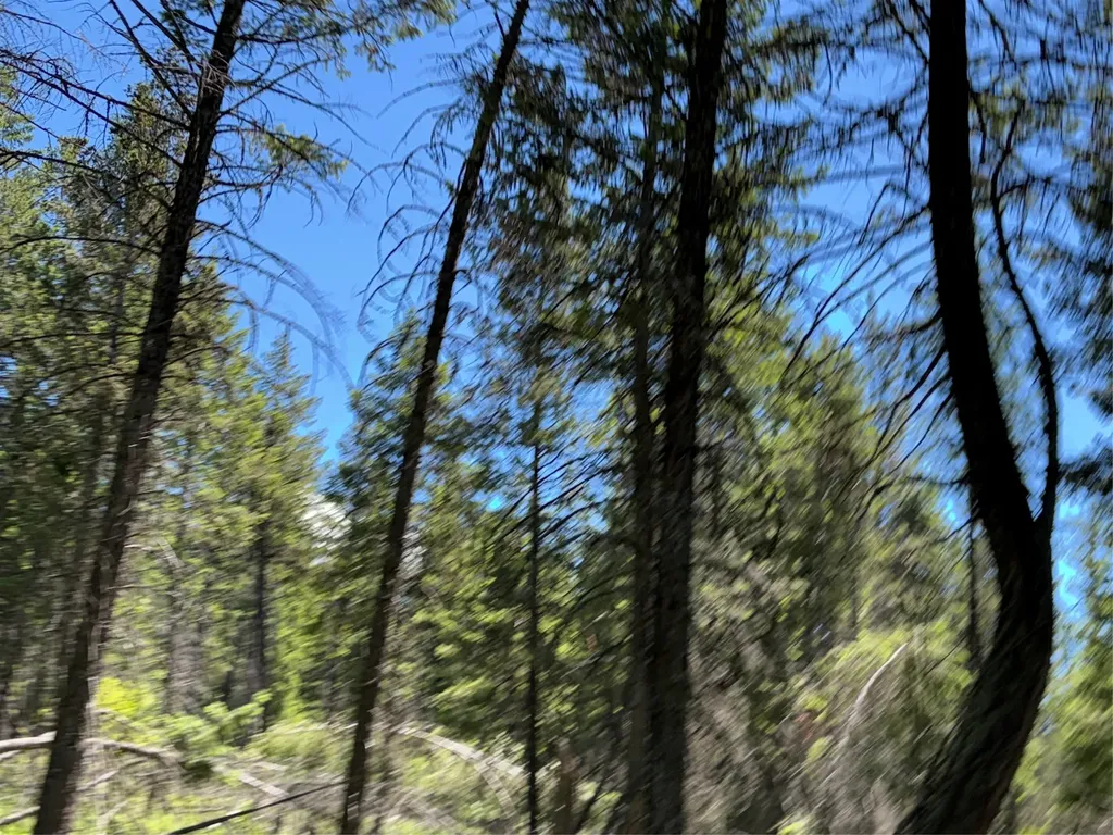 8025 Therriault Pass Road Eureka MT 59917