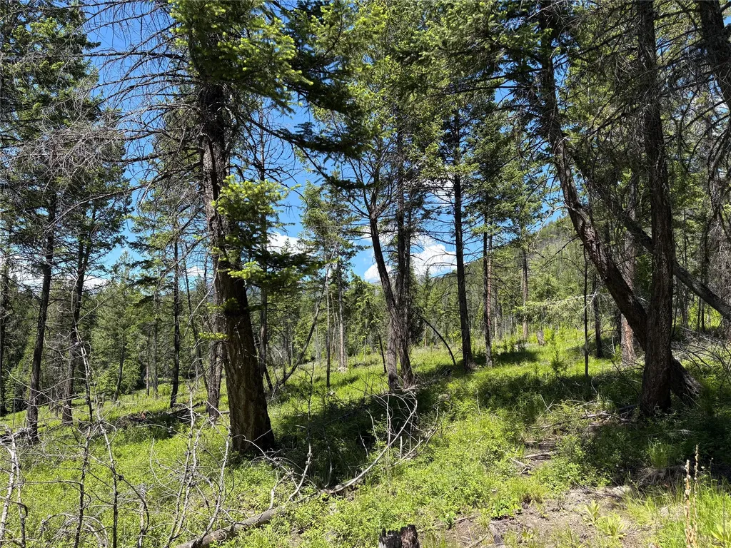 8025 Therriault Pass Road Eureka MT 59917