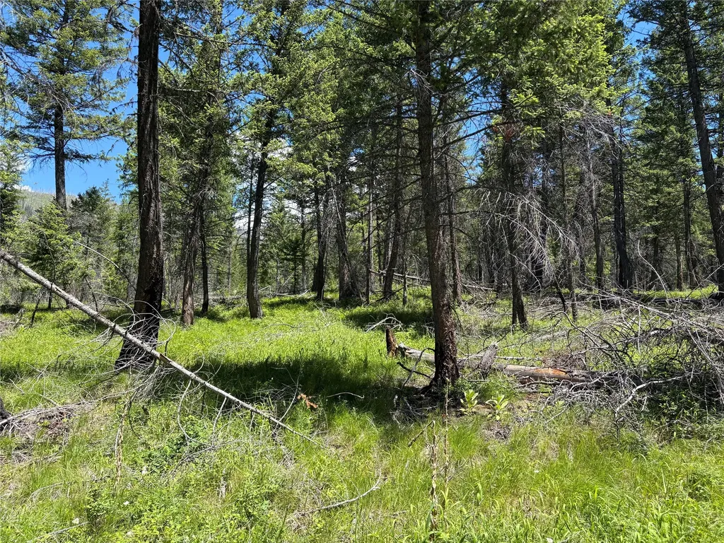 8025 Therriault Pass Road Eureka MT 59917