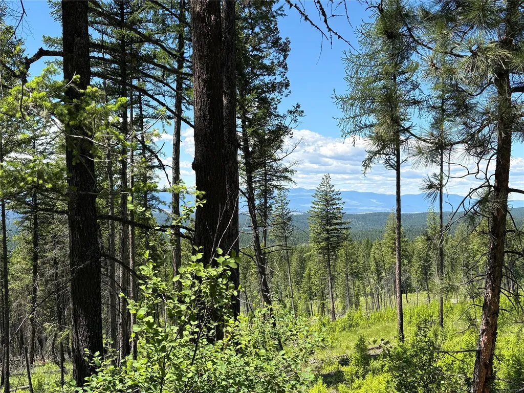 8025 Therriault Pass Road Eureka MT 59917