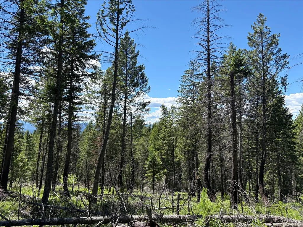 8025 Therriault Pass Road Eureka MT 59917