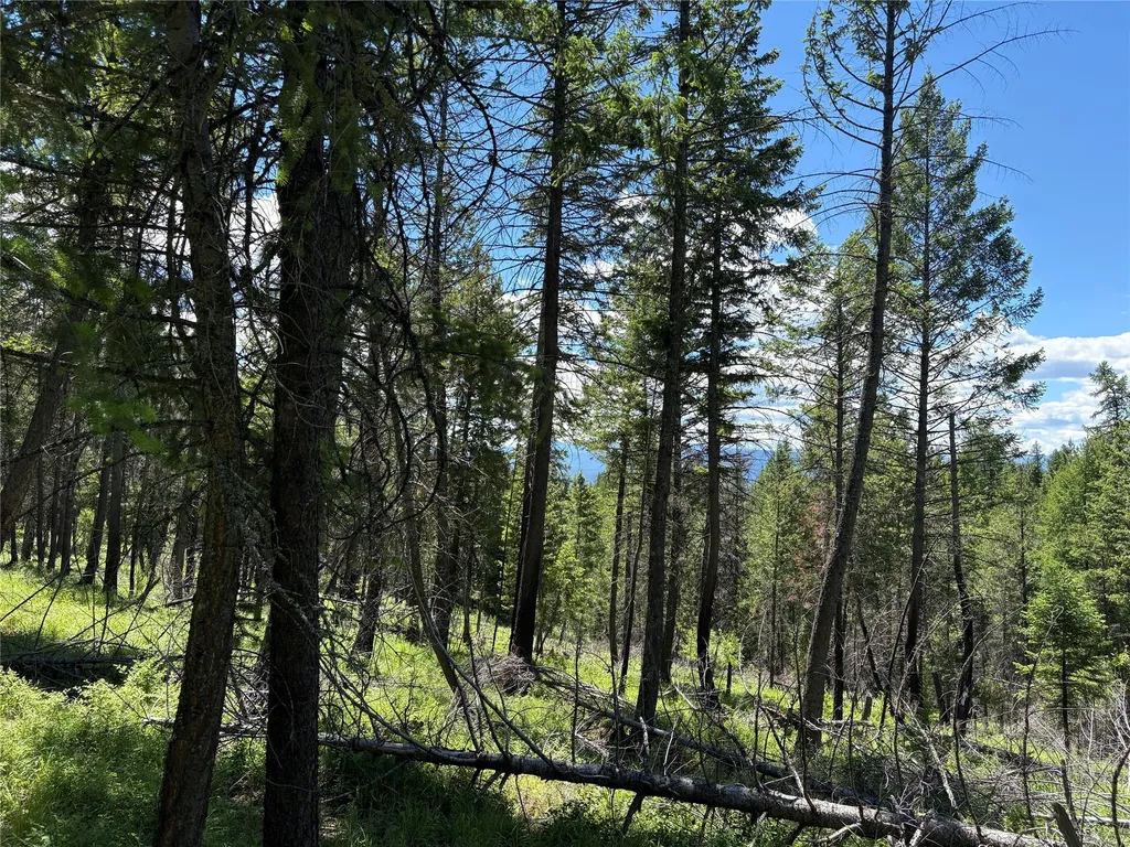8025 Therriault Pass Road Eureka MT 59917
