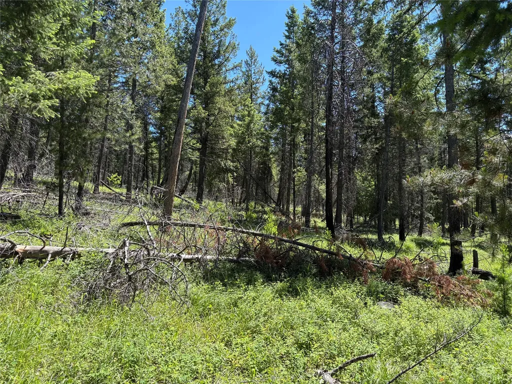 8025 Therriault Pass Road Eureka MT 59917
