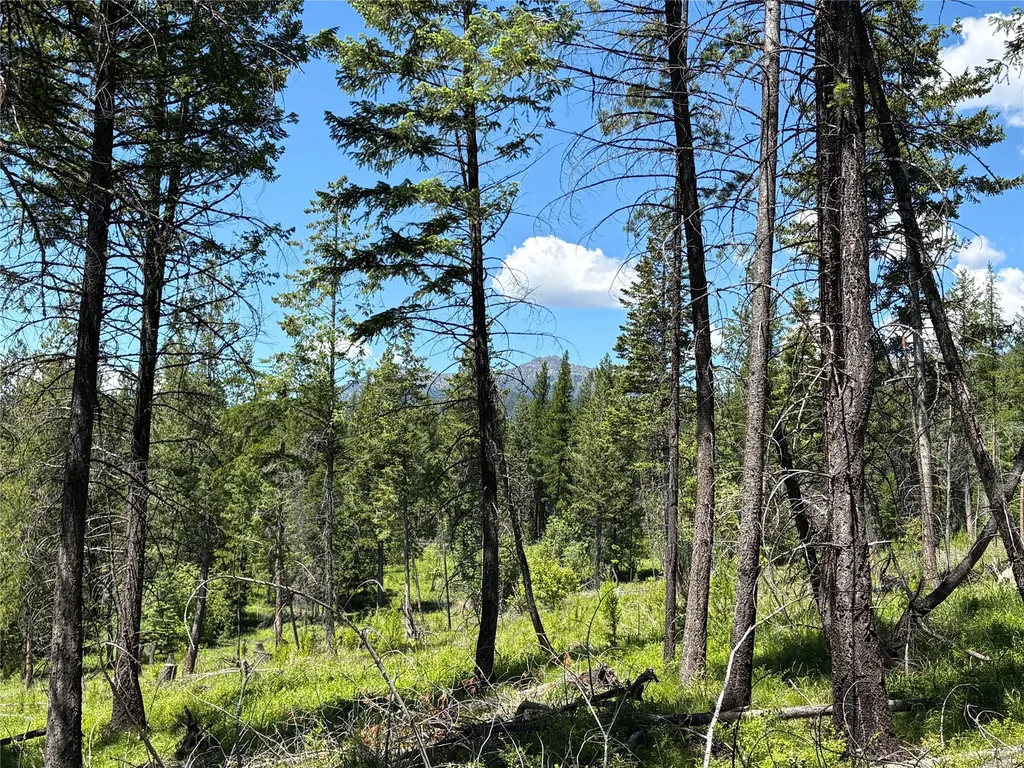 8025 Therriault Pass Road Eureka MT 59917