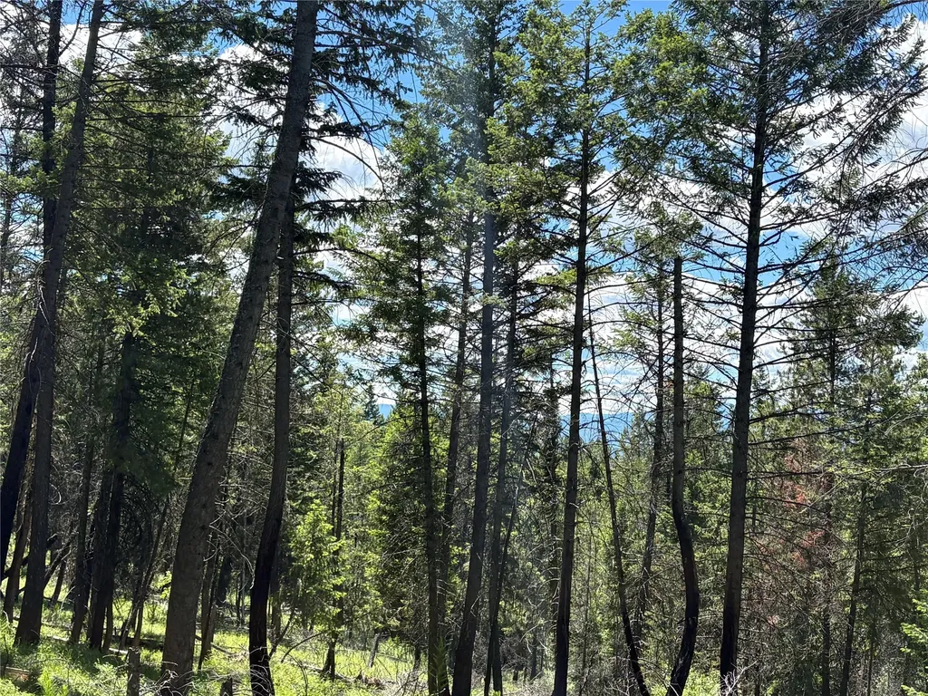 8025 Therriault Pass Road Eureka MT 59917