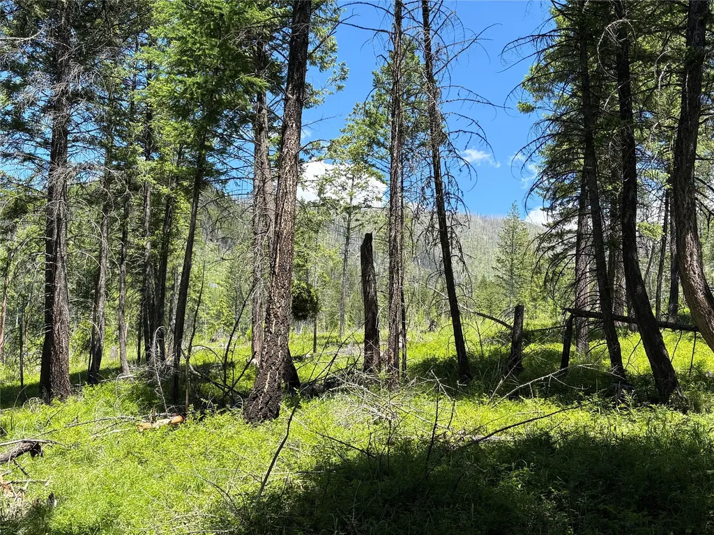 8025 Therriault Pass Road Eureka MT 59917