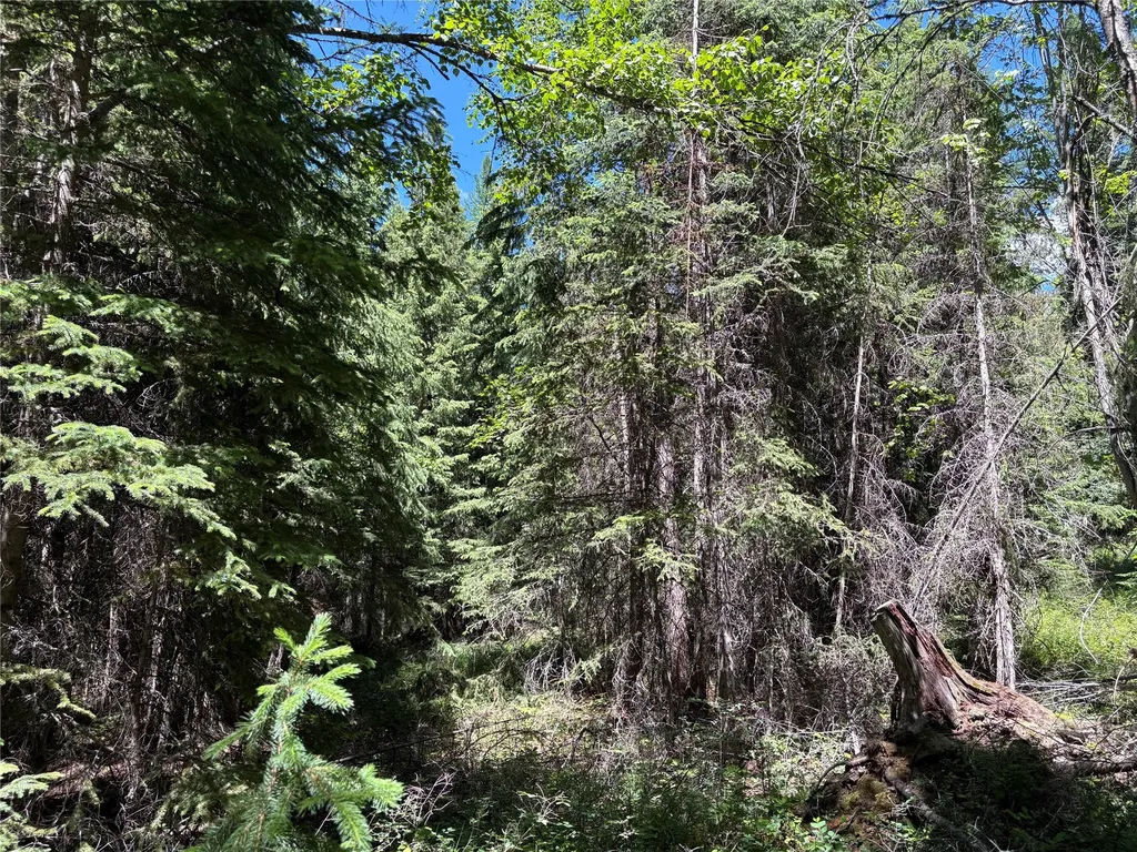 8025 Therriault Pass Road Eureka MT 59917