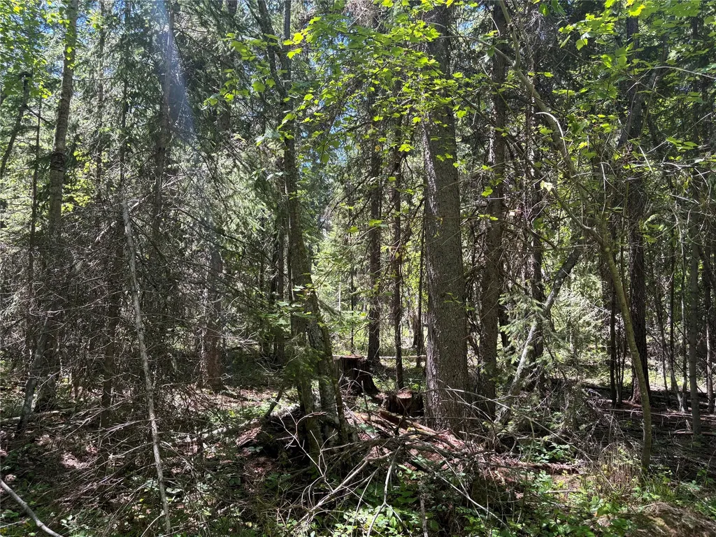 8025 Therriault Pass Road Eureka MT 59917